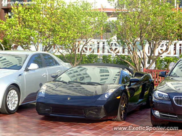 Lamborghini Gallardo spotted in Miami Beach, Florida