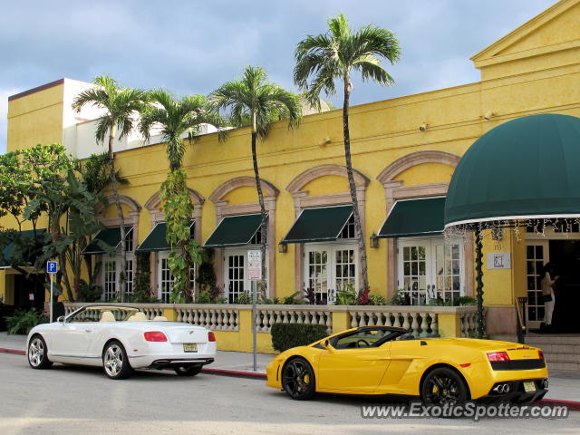 Lamborghini Gallardo spotted in Palm Beach, Florida