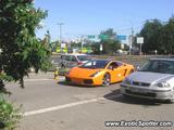 Lamborghini Gallardo