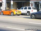 Lamborghini Gallardo