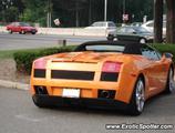 Lamborghini Gallardo