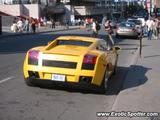 Lamborghini Gallardo