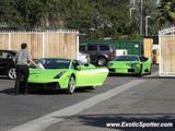 Lamborghini Gallardo