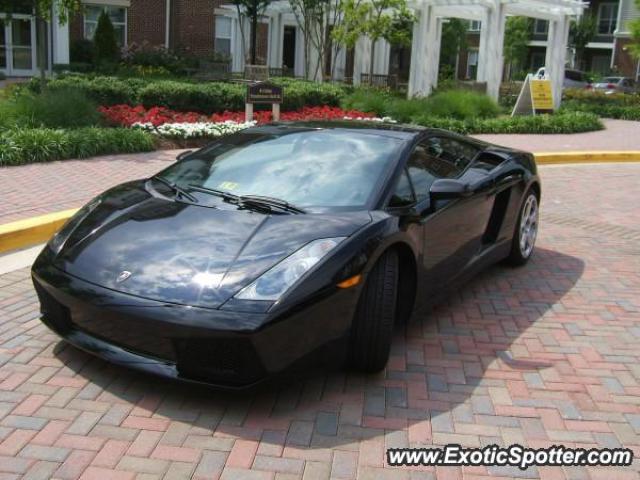 Lamborghini Gallardo spotted in Potomac, Maryland