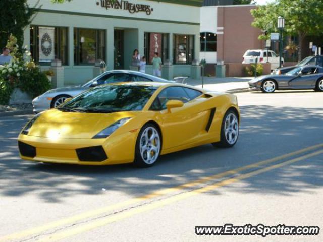 Lamborghini Gallardo spotted in Birmingham, Michigan