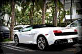 Lamborghini Gallardo