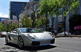 Lamborghini Gallardo