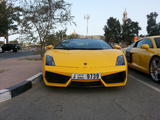 Lamborghini Gallardo