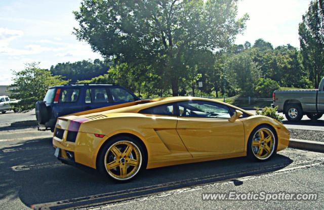 Lamborghini Gallardo spotted in Albany, New York