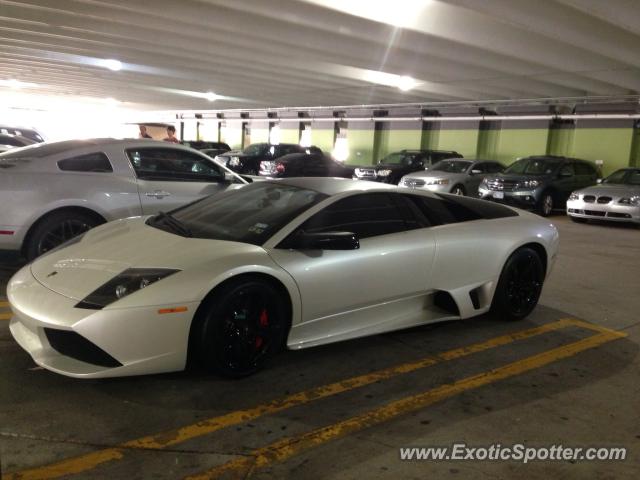 Lamborghini Murcielago spotted in Houston, Texas