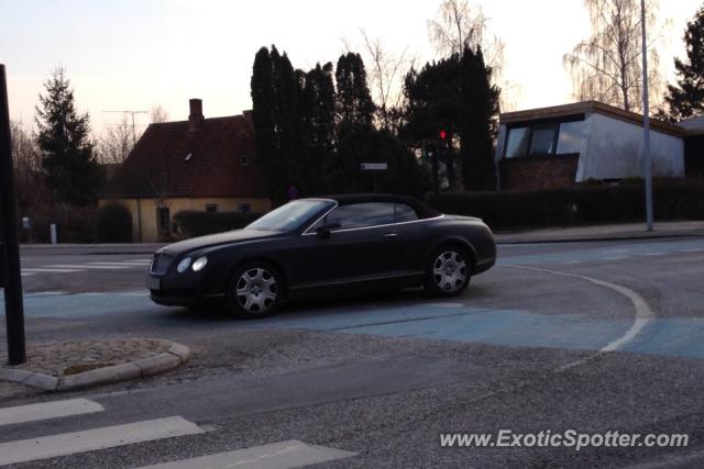 Bentley Continental spotted in Rungsted, Denmark